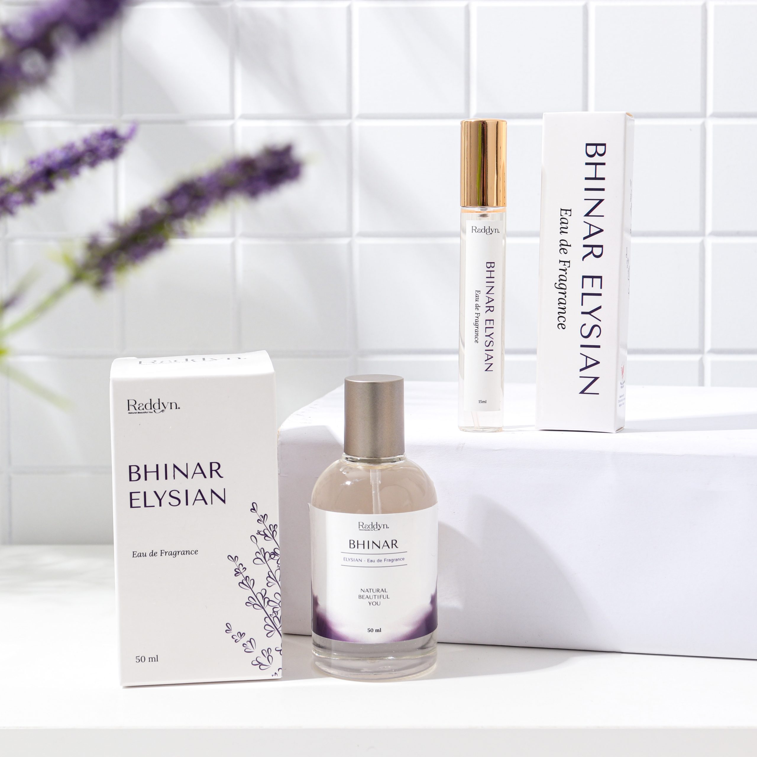 Salinan FPK2024032811